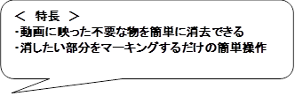 ＜　特長　＞
・動画に映った不要な物を簡単に消去できる
・消したい部分をマーキングするだけの簡単操作
