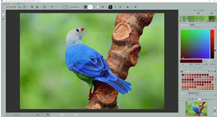 モニター画面に映る鳥

中程度の精度で自動的に生成された説明