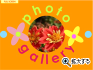 Movie ポップ Movie ポップ