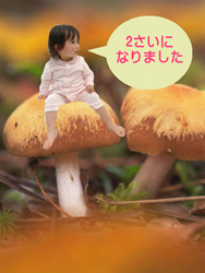 キャプチャ作例2